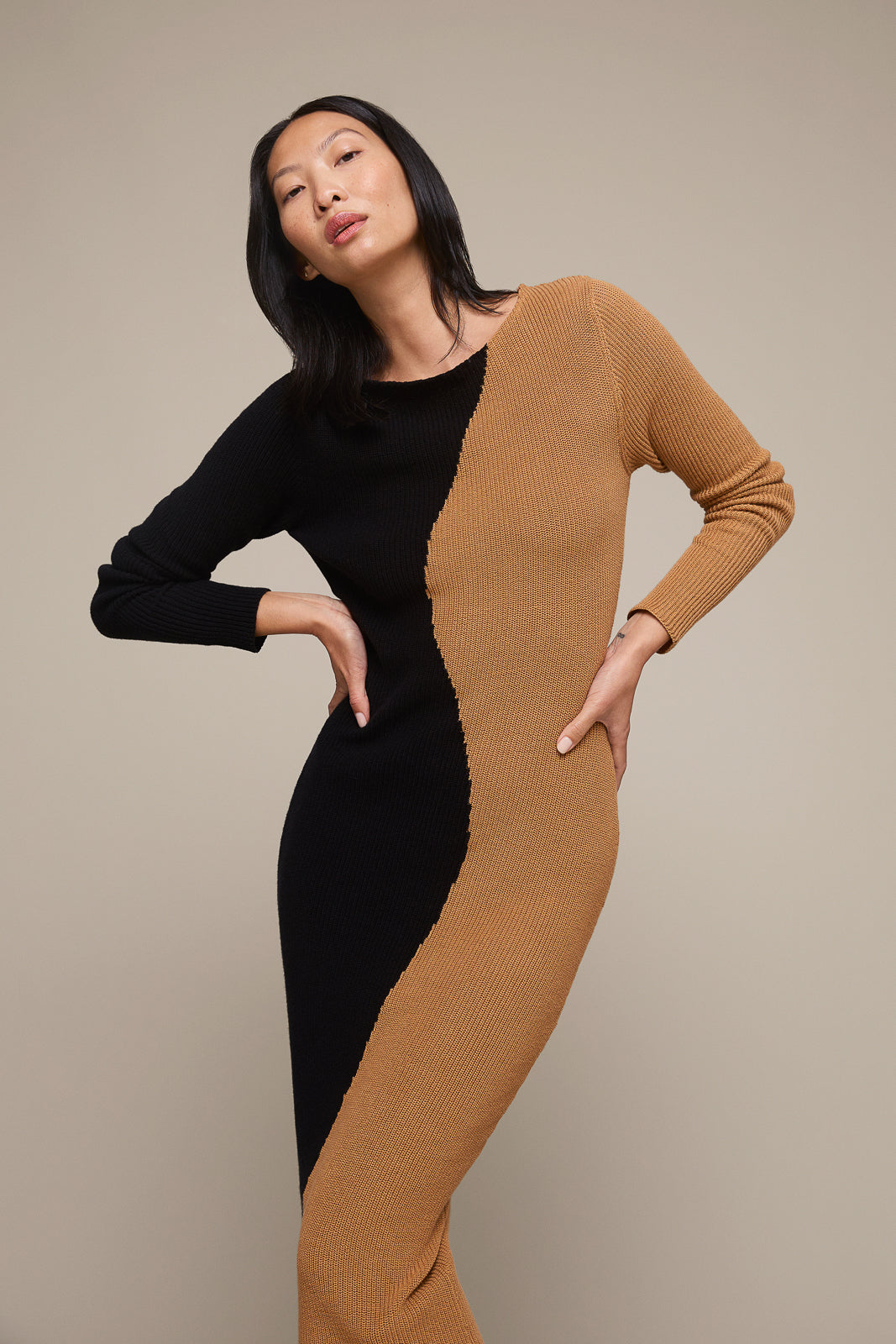 Colorblock Knit Dress (Pre-Order)